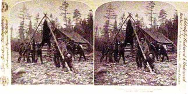 card-71-camp-scene-bear-cr-1893