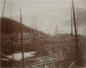 Fire Damage in Rocky Mountain National Park