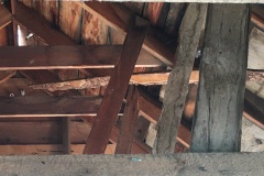 Rafters with odd barkie piece nailed in 7-20-23