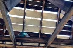 Roof boards 7-20-2023