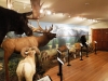 Animals & mural fr back