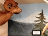 Big Horn head