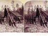 card-71-camp-scene-bear-cr-1893